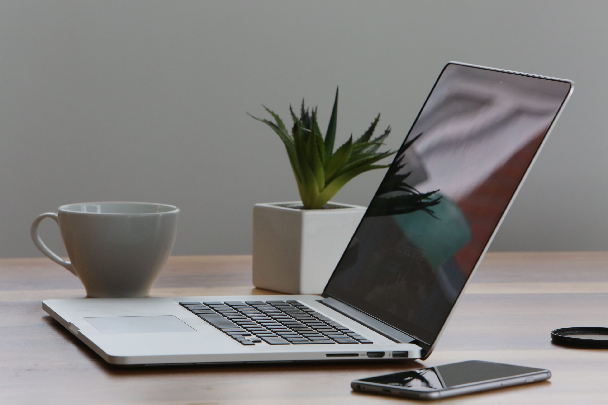 Laptop, cup, and plant on a calm, organized desk